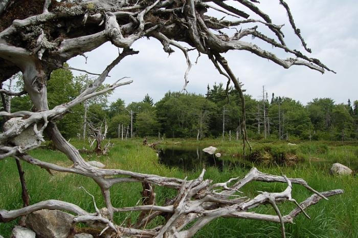 Kanutrip Naturreservat Sporting Lake_104